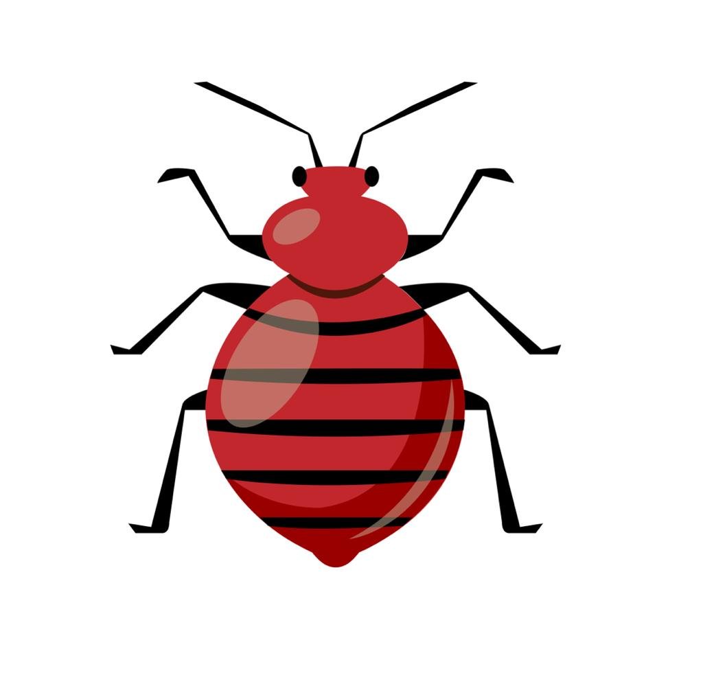 bedbugs-pest-control