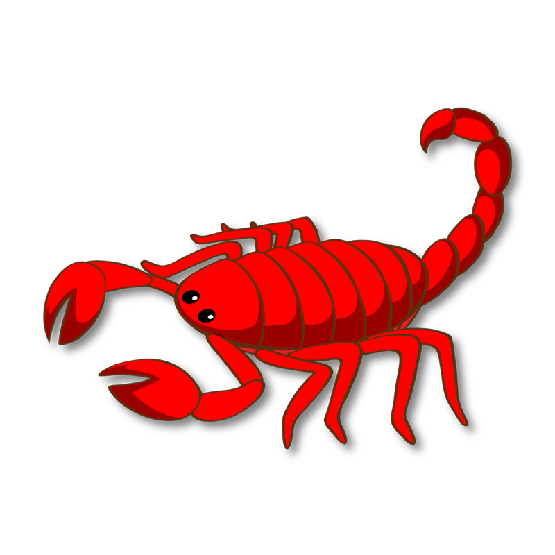 scorpion