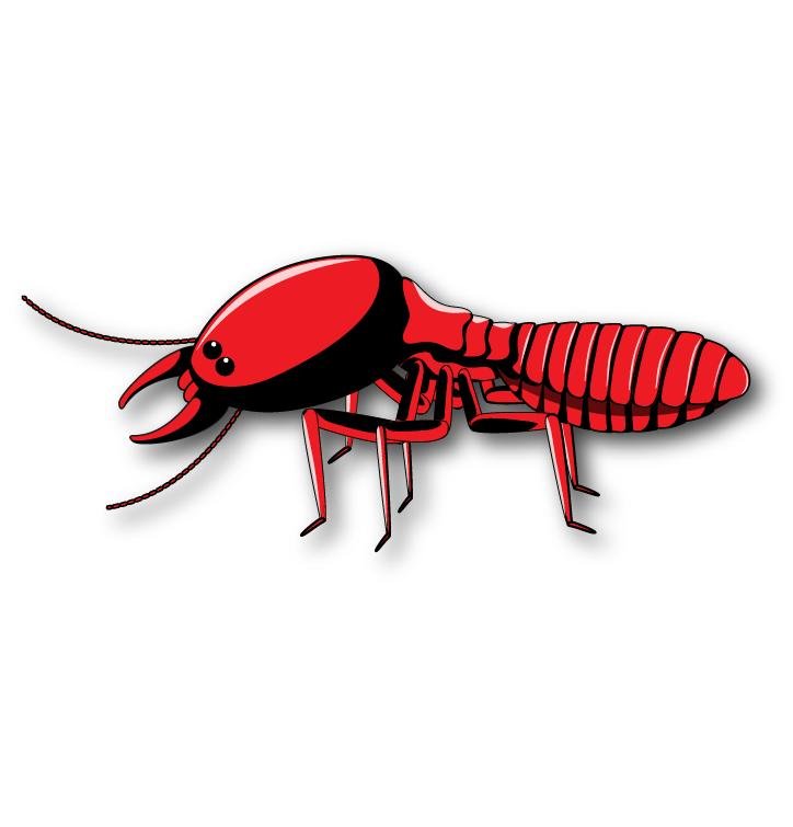 termite-pest-control-dubai