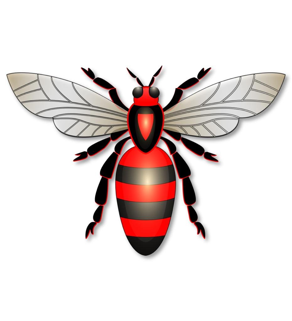 wasps-pest-control-dubai